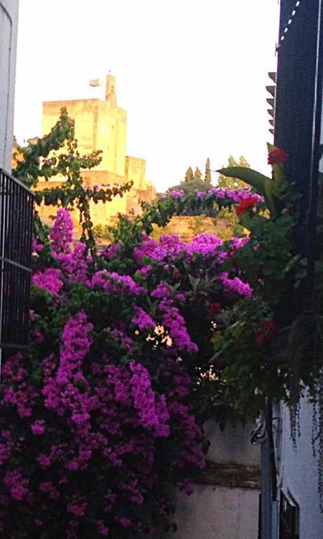 Appartamento Casa Callejon De Echevarria Granada Esterno foto